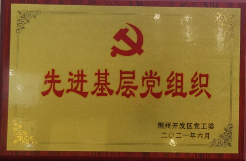 先进基层党组织