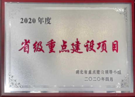 2020年度省级重点建设项目